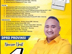 Penerbitan SK Pasalon Pilkada DPP Golkar Setelah Melalui Proses Berjenjang dari Bawah