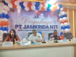 Jamkrida NTT Tumbuh   Sehat di Satu Dekade