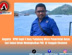 Anggota   DPRD Dapil V Deni Padabang Minta Pemerintah Harus Cari Solusi Untuk Meningkatkan PAD  di Tenggah Efesiensi