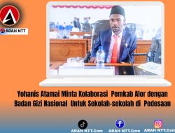 Yohanis Atamai Minta Kolaborasi  Pemkab Alor Dengan  Badan GiZi Nasional  Untuk Sekolah-Sekolah di  Pedesaan