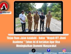 Tinjau Ruas Jalan kalabahi – Kokar “Wagub NTT Jhoni Asadoma ” Tahun ini di kerjakan Agar Bisa   Meningkatkan Ekonomi Masyarakat