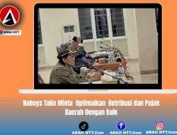 Naboys Tallo Minta  Optimalkan  Retribusi dan Pajak Daerah Dengan Baik
