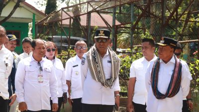 Wagub NTT  Tanam Anakan Rambutan saat Berkunjung  ke BBH Oelbubuk  Simbol Penguatan Sektor Holtikultura