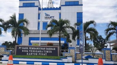 Peran Penting BANK NTT Dorong UMKM Bertumbuh Pesat