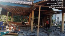 Puluhan KK di Desa Ngera Mengungsi dan 36 Rumah Rusak Berat Akibat Gempa Bumi Flores