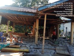 Puluhan KK di Desa Ngera Mengungsi dan 36 Rumah Rusak Berat Akibat Gempa Bumi Flores