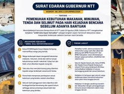 Kibijakan Ambil Dulu baru Bayar Tujuan Pemerintah Percepat pemenuhan Makanan Korban Gempa Flores