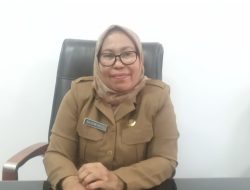 DLHK NTT: PT LESTARI ENERGI TIMUR BELUM KANTONGI SLO DAN IZIN USAHA